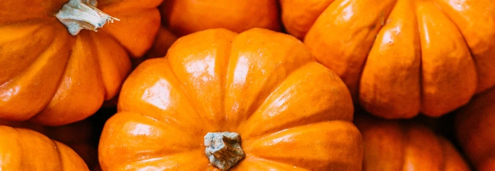 Viele orange Kürbisse